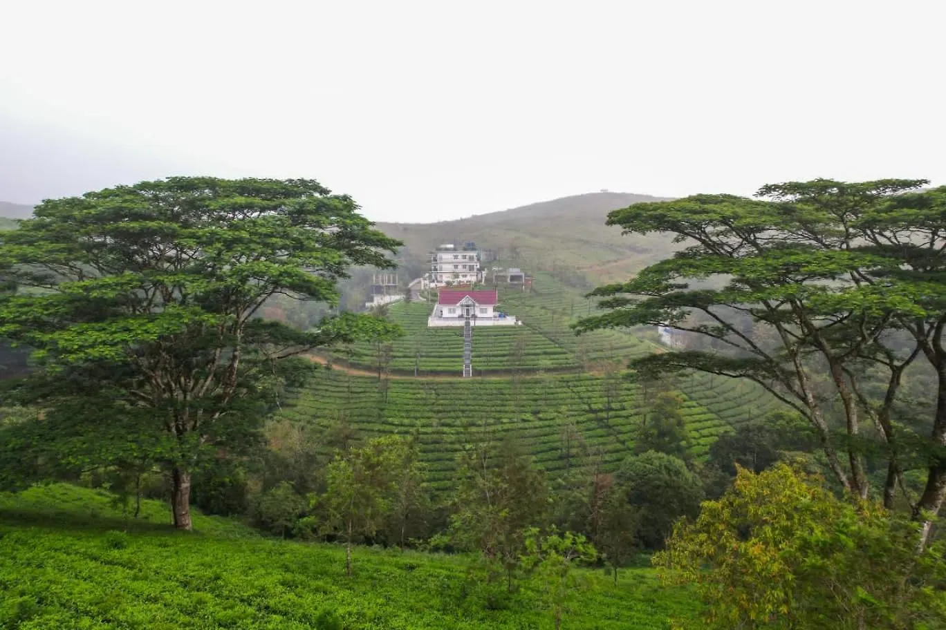 Peachberry Two Bedroom Villa Vagamon India