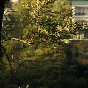 Resort Falcon Crest, Vagamon